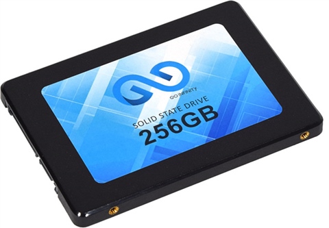 Go-Infinity SSDAS256 256GB 2.5
